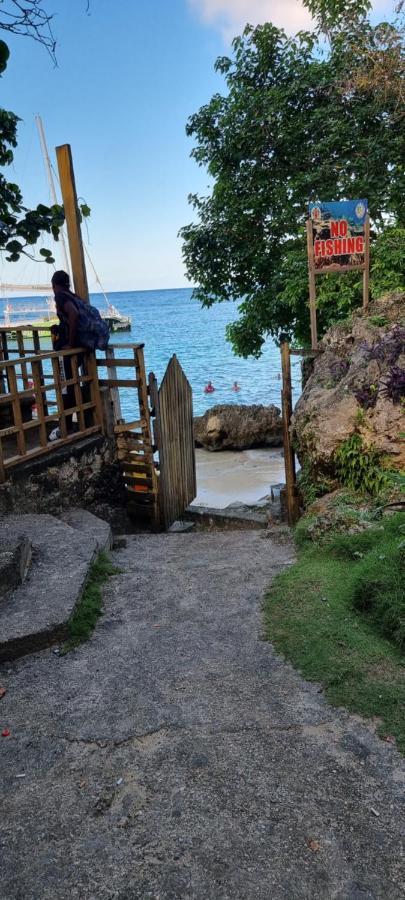 Komfort Getaway Villa At Countrymist Ocho Rios Buitenkant foto